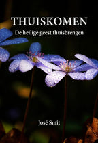 Thuiskomen-boek-cover-9789463285599