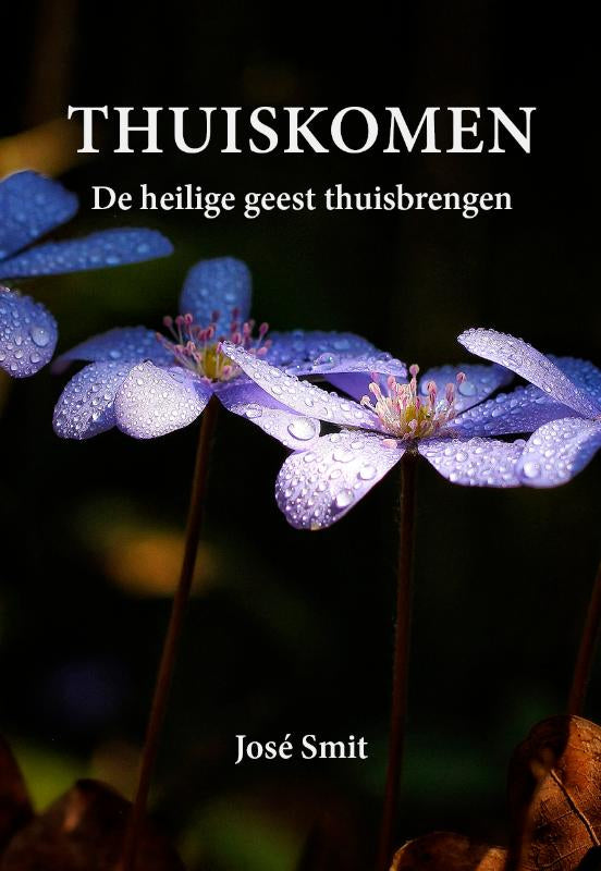 Thuiskomen-boek-cover-9789463285599
