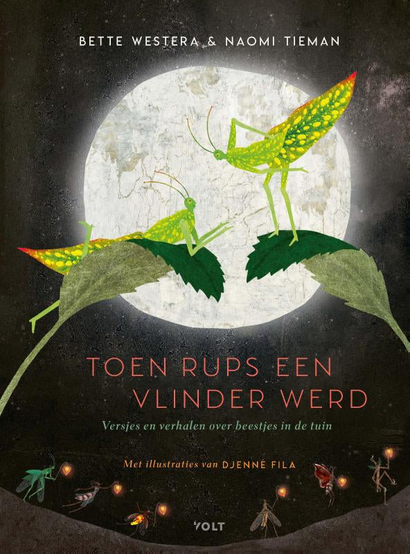 Toen-Rups-een-vlinder-werd-boek-cover-9789021424262