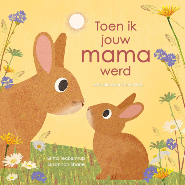 Toen-ik-jouw-mama-werd-boek-cover-9789025886813