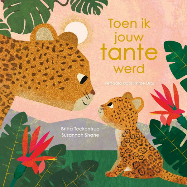 Toen-ik-jouw-tante-werd-boek-cover-9789025889340