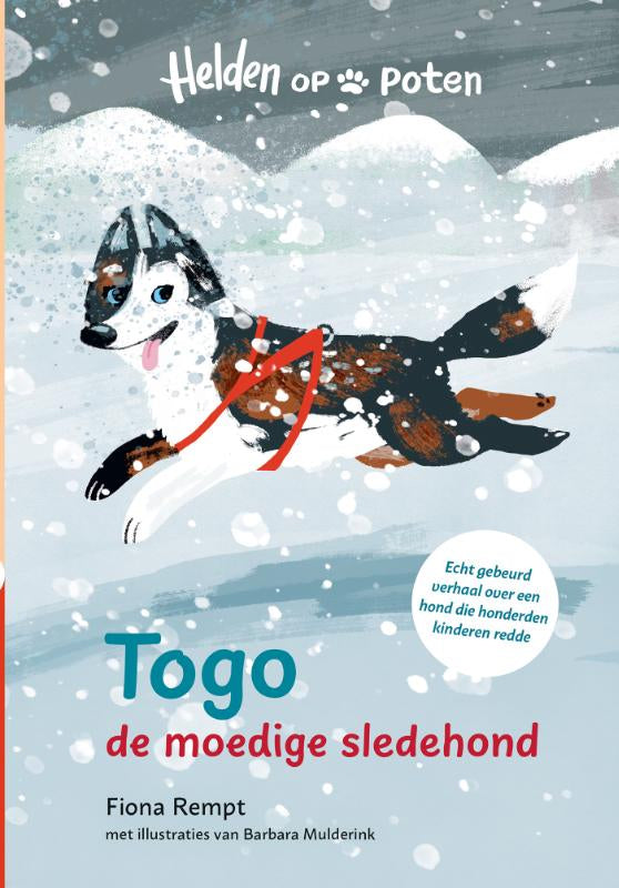 Togo, de moedige sledehond
