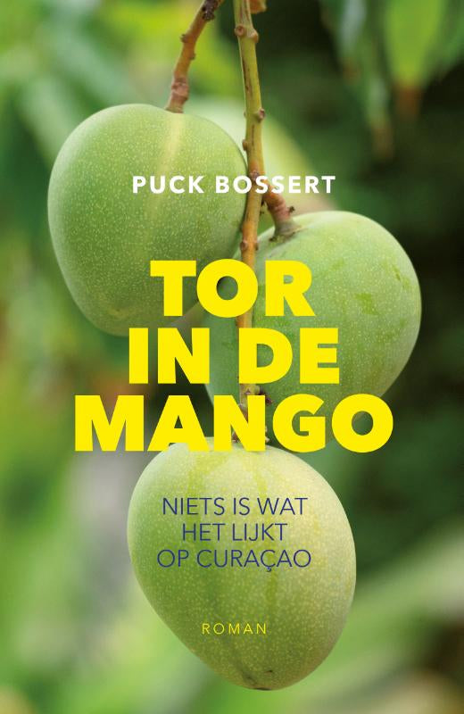 Tor-in-de-mango-boek-cover-9789090377346
