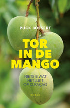 Tor-in-de-mango-boek-cover-9789090377346