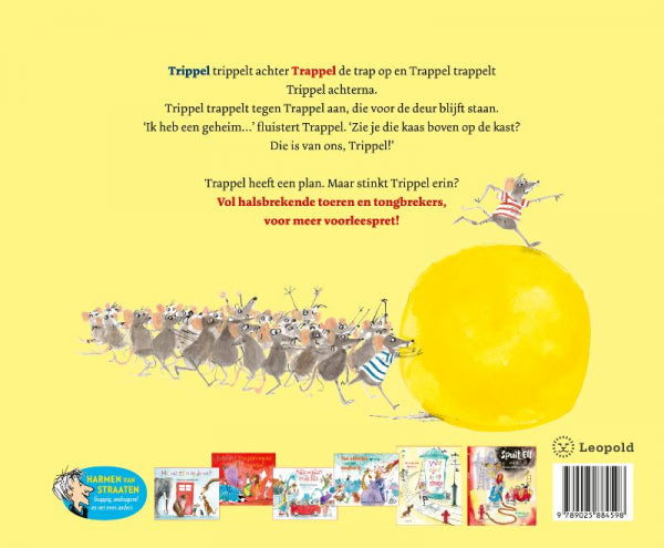 Trippel-and-Trappel-trappen-de-kat-op-z-n-staart-flaptekst-9789025884598