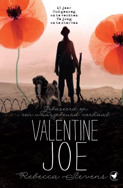 Valentine-Joe-boek-cover-9789048841721