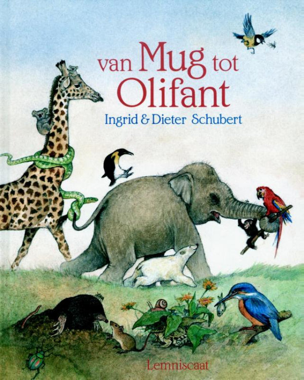 Van-mug-tot-olifant-boek-cover-9789060699393