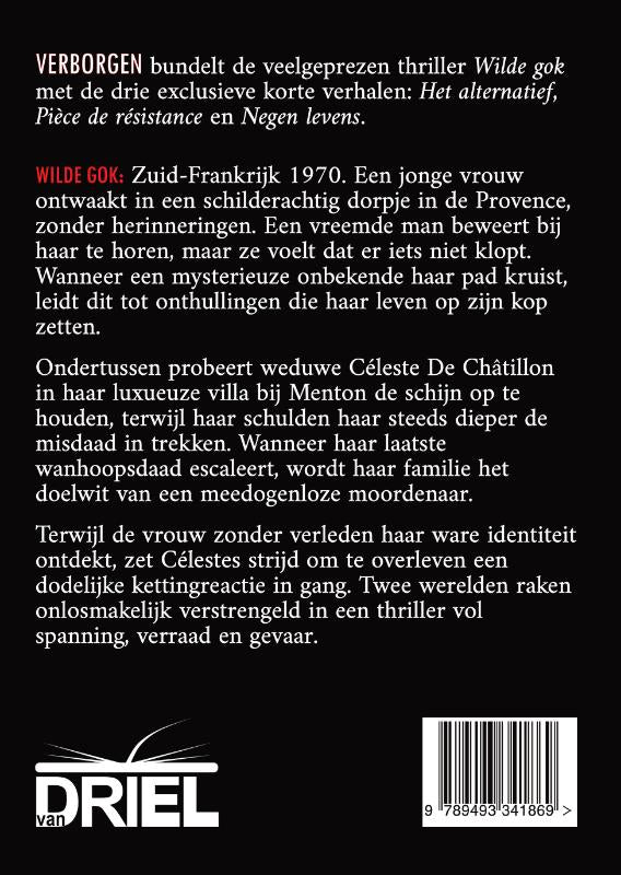 Verborgen-flaptekst-9789493341869