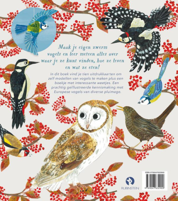 Veren-maken-de-vogel-flaptekst-9789047632900