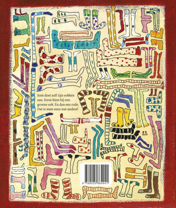 Verkeerde-sokken-flaptekst-9789025864941