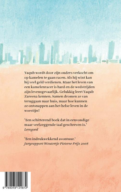 Verkocht-flaptekst-9789045124872