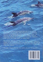 Verzeilsels-flaptekst-9789493303645