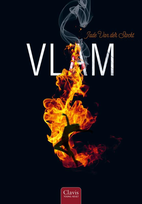 Vlam-boek-cover-9789044845044