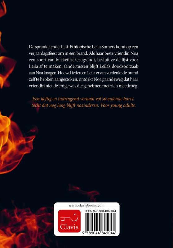 Vlam-flaptekst-9789044845044