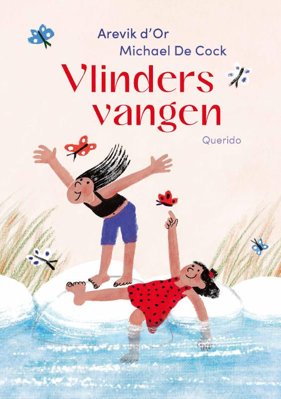 Vlinders-vangen-boek-cover-9789045132082