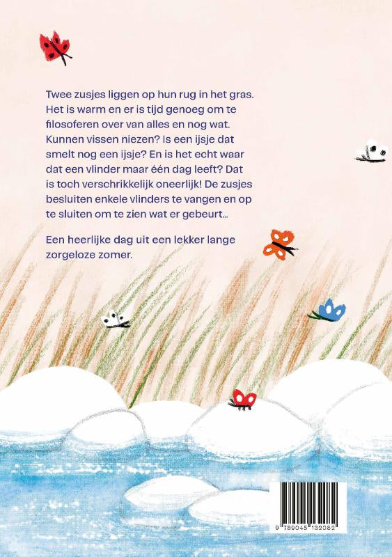 Vlinders-vangen-flaptekst-9789045132082