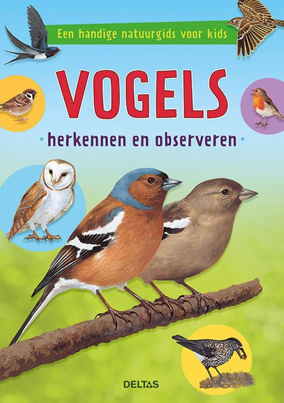 Vogels herkennen en observeren