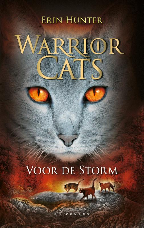 Voor-de-storm-boek-cover-9789078345312