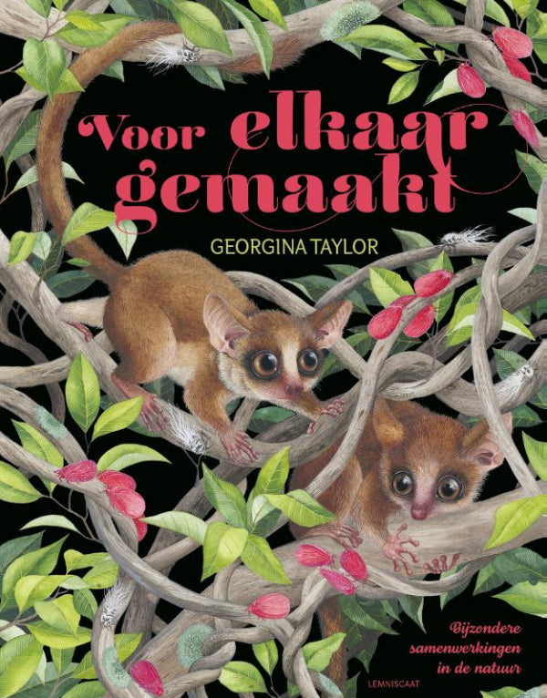 Voor-elkaar-gemaakt-boek-cover-9789047712718