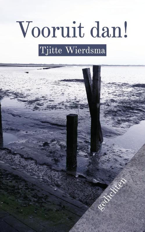 Vooruit-dan-boek-cover-9789493343313