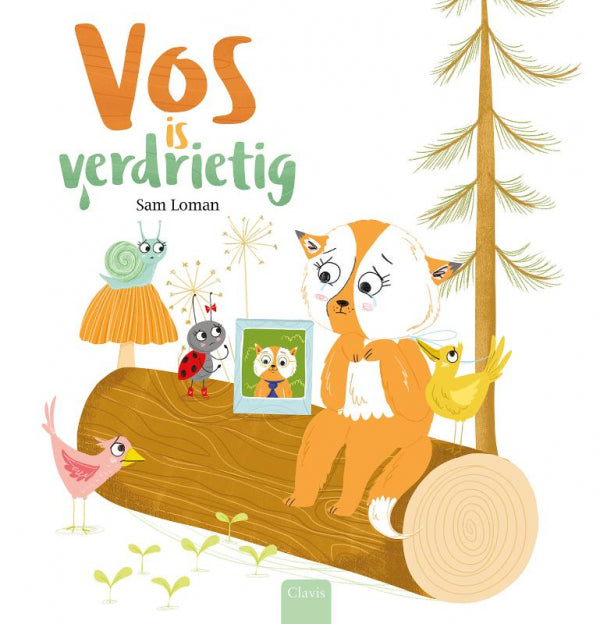 Vos-is-verdrietig-boek-cover-9789044847079