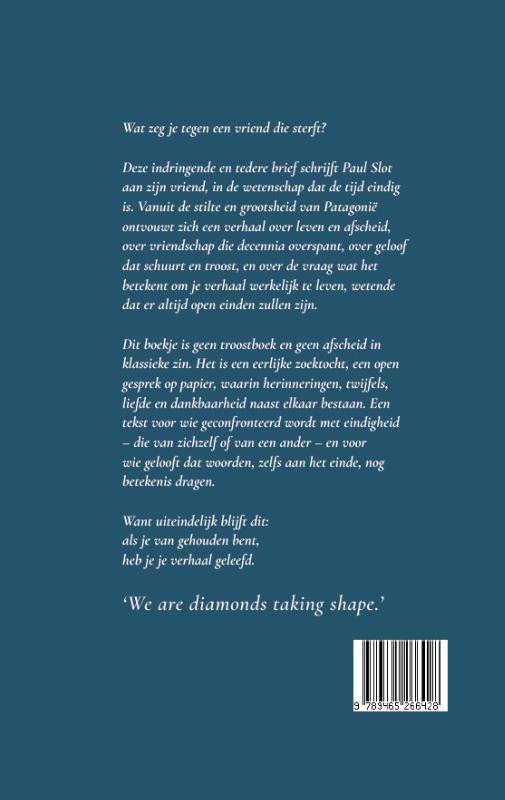 Vriend-flaptekst-9789465266428