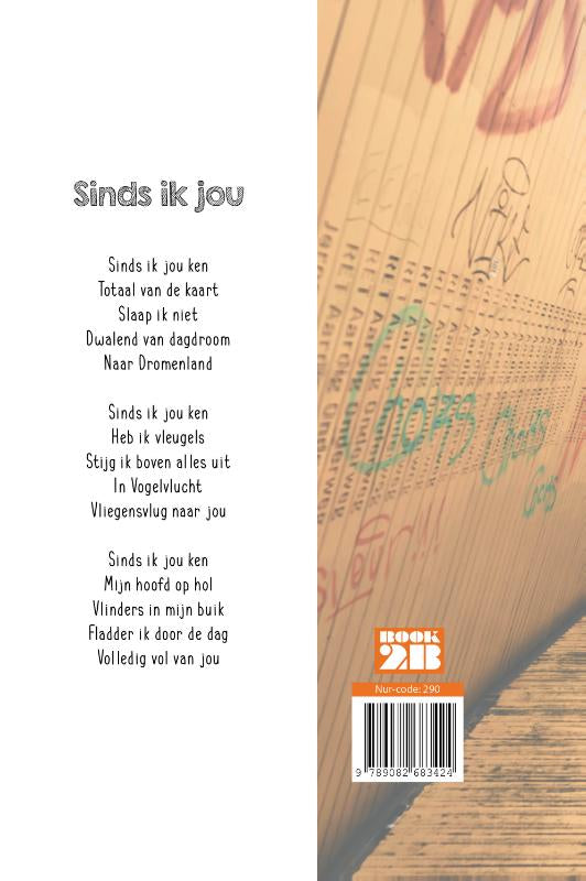 Vriendschap-en-meer-flaptekst-9789082683424