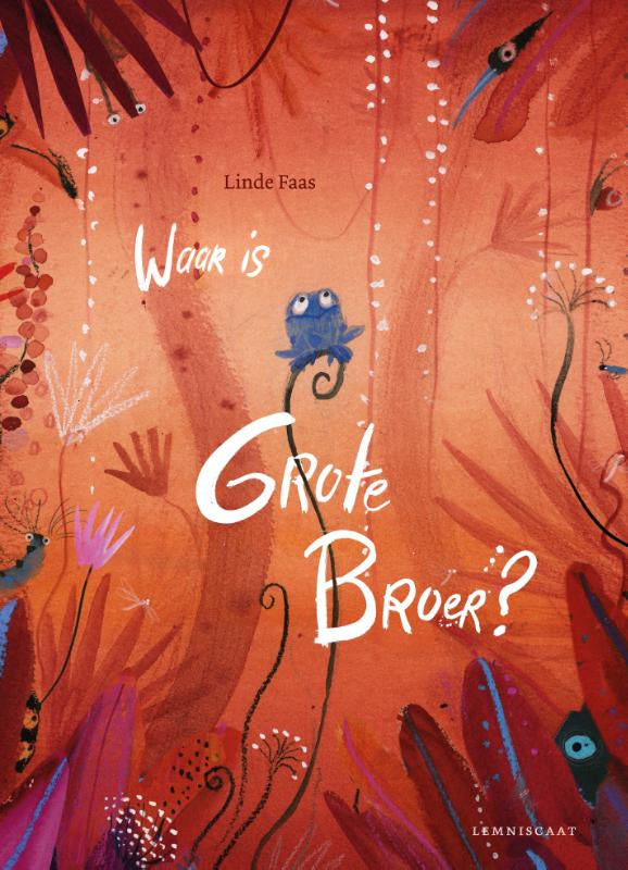 Waar-is-Grote-Broer-boek-cover-9789047712176