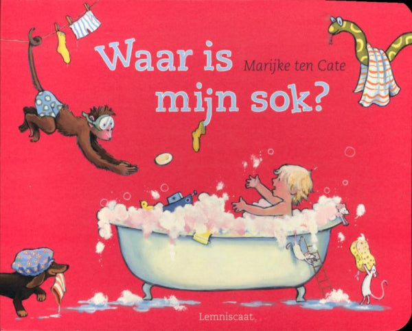 Waar-is-mijn-sok-boek-cover-9789047703808