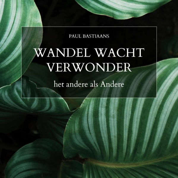 Wandel-Wacht-Verwonder-boek-cover-9789403923642
