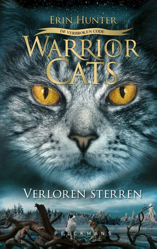 Warrior Cats - De verbroken code Serie 6 - Boek 1 Verloren sterren