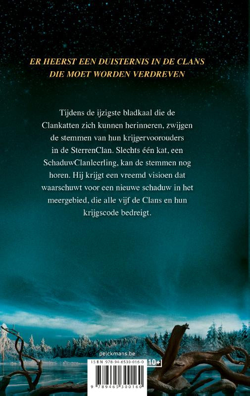 Warrior-Cats-De-verbroken-code-Serie-6-Boek-1-Verloren-sterren-flaptekst-9789465300160