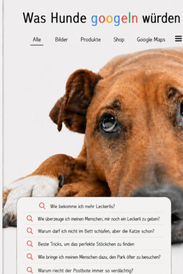Was-Hunde-googeln-wurden-boek-cover-9789403917597