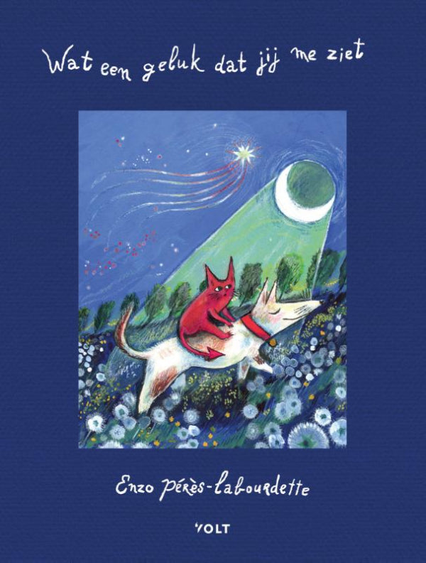Wat-een-geluk-dat-jij-me-ziet-boek-cover-9789038819341