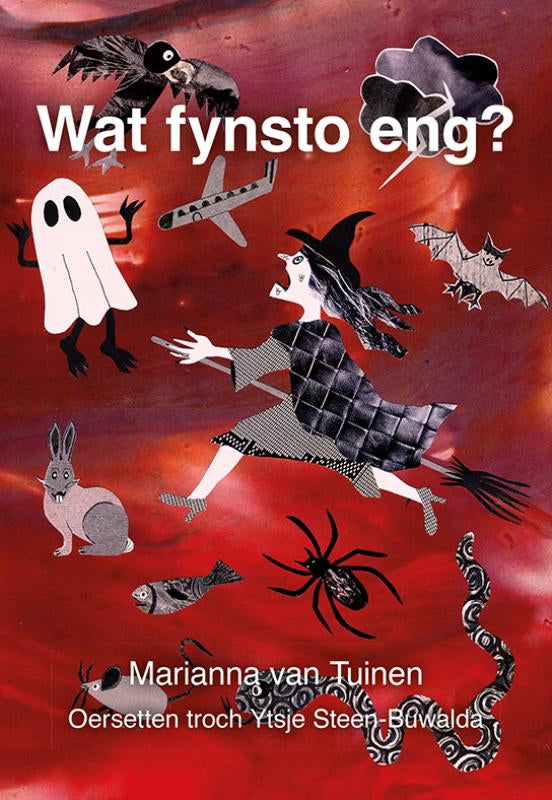 Wat-fynsto-eng-boek-cover-9789463656573