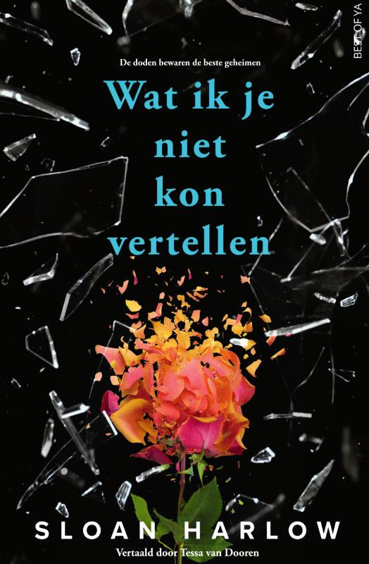 Wat-ik-je-niet-kon-vertellen-boek-cover-9789000393725