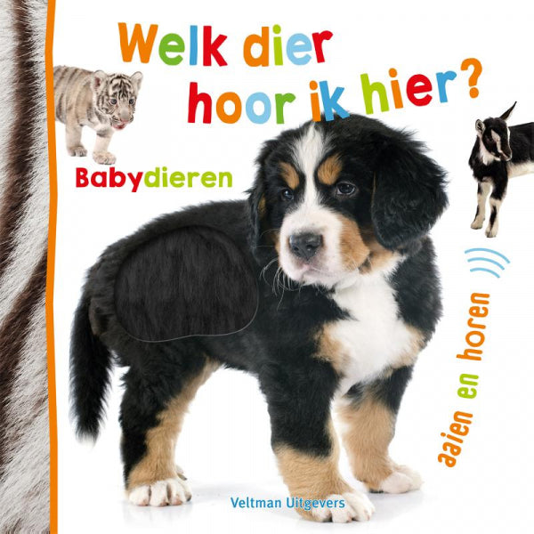Welk-dier-hoor-ik-hier-Babydieren-boek-cover-9789048320905