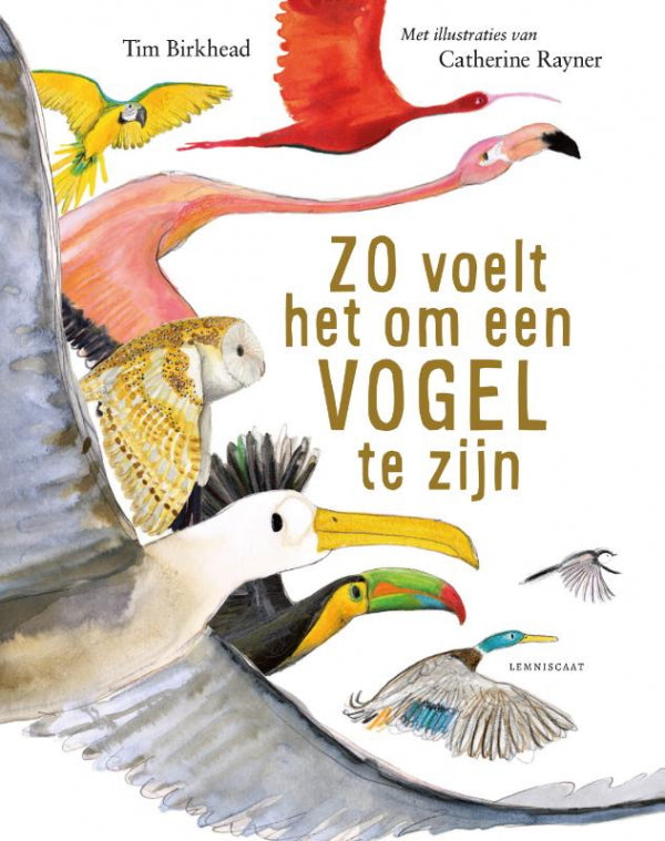 Zo-voelt-het-om-een-vogel-te-zijn-boek-cover-9789047715221