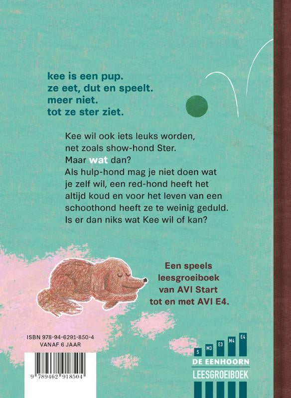 Zoet-is-goed-flaptekst-9789462918504