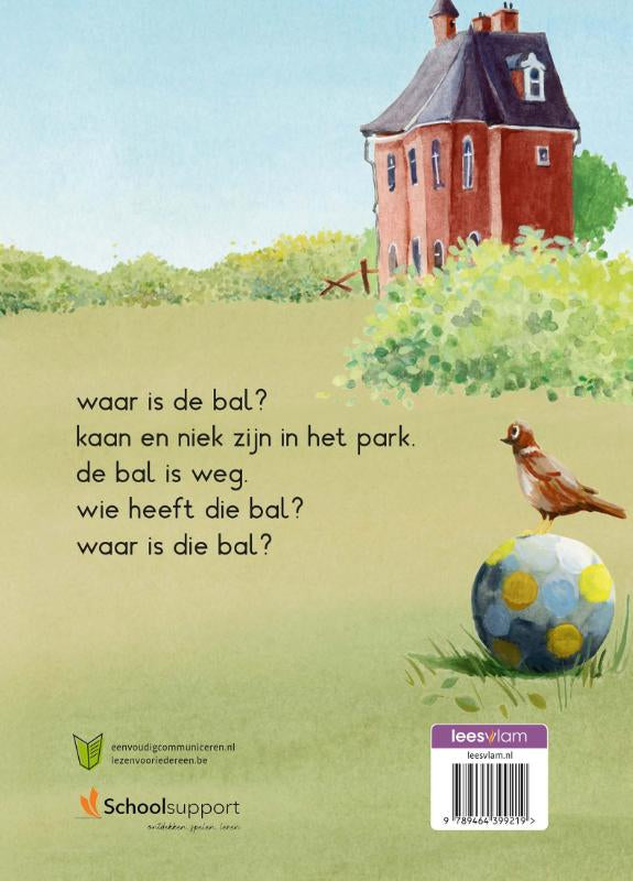 de-bal-van-kaan-flaptekst-9789464399219
