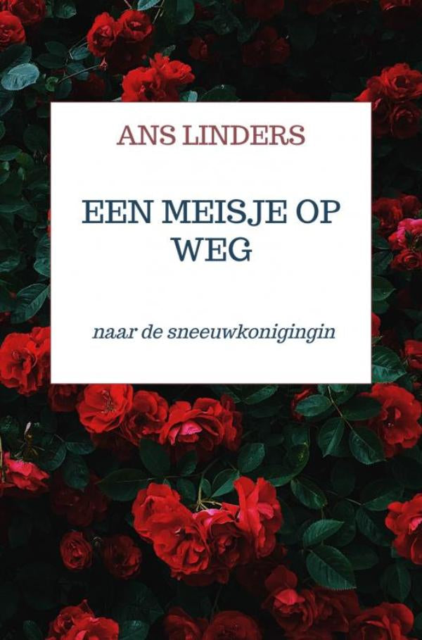 een-meisje-op-weg-boek-cover-9789403770758