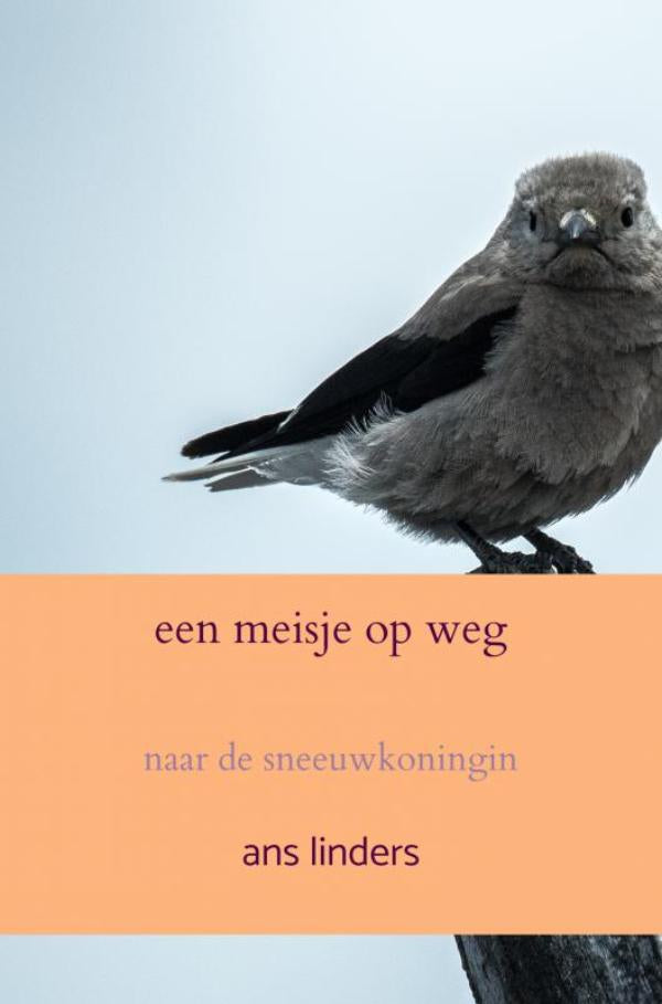 een-meisje-op-weg-boek-cover-9789403770765