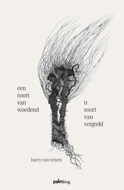 een-soort-van-woedend-n-soort-van-vergreld-boek-cover-9789493465091
