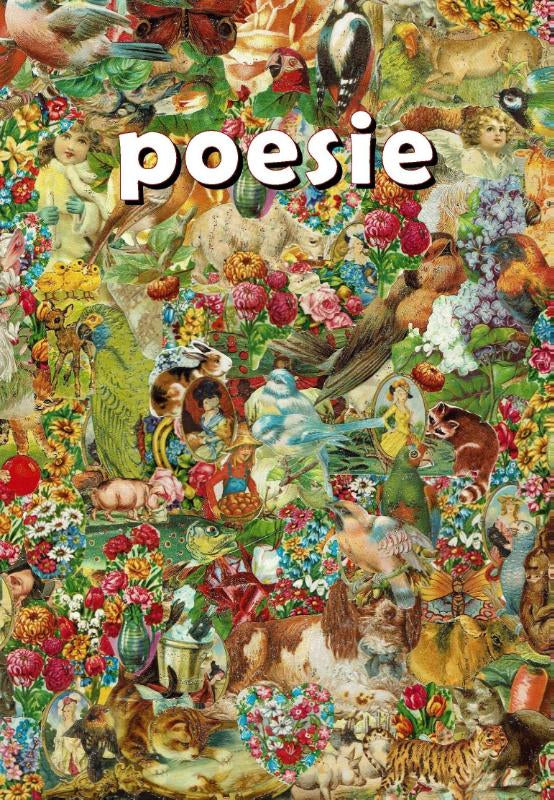 poesie-boek-cover-9789083709239